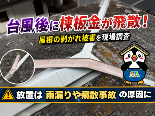 台風被害でめくれ上がった鹿沼市の一戸建ての棟板金（現場調査の様子）